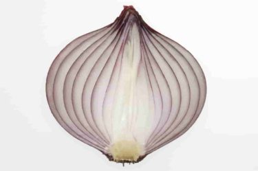 頭皮の血流をサラサラにする