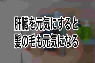 肝臓を元気にすると髪の毛も元気になる
