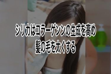 シリカはコラーゲンンの生成を高め髪の毛を太くする